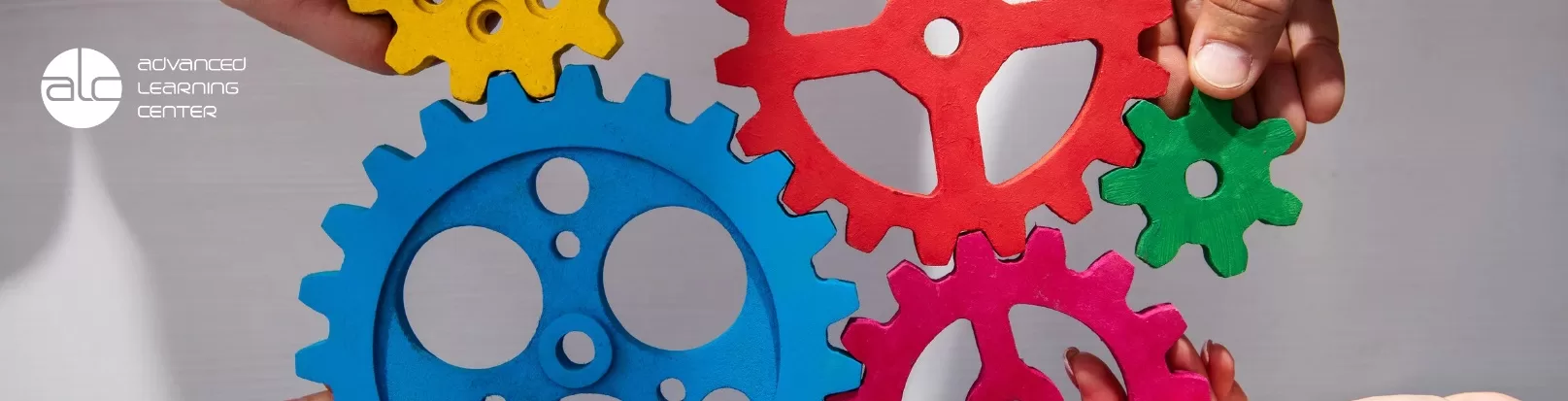 Sistemas Integrados de Gestión (SIG): Cómo Implementarlos, Beneficios y Claves.