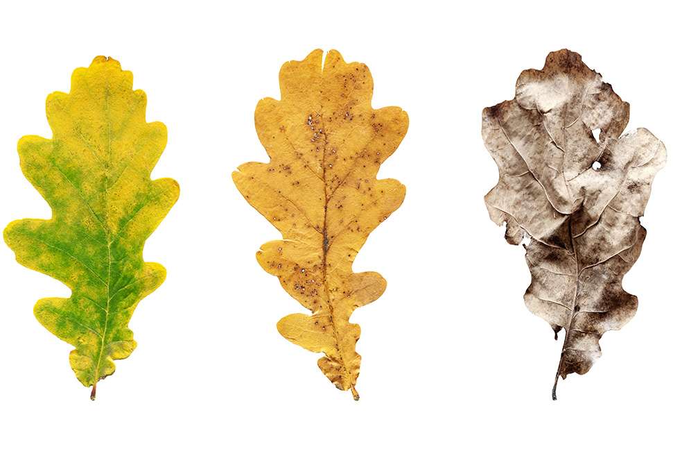 Ciclo de Vida ISO 14040